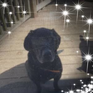 Meet your Posher, Matayia